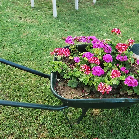 فندق Achillion ماكريغيالوس