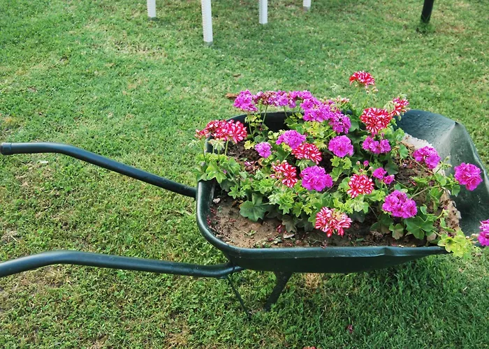 Hotel Achillion Makrygialos