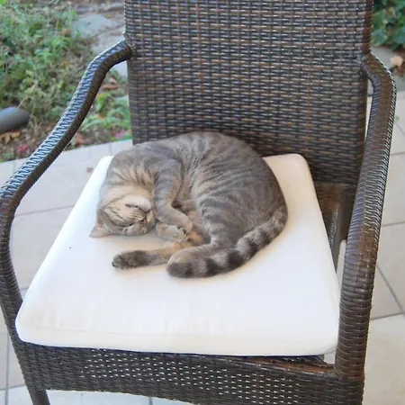 Achillion 2* Makrygialos