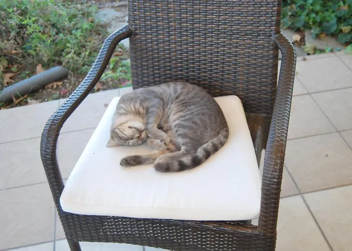 Achillion 2* Makrygialos